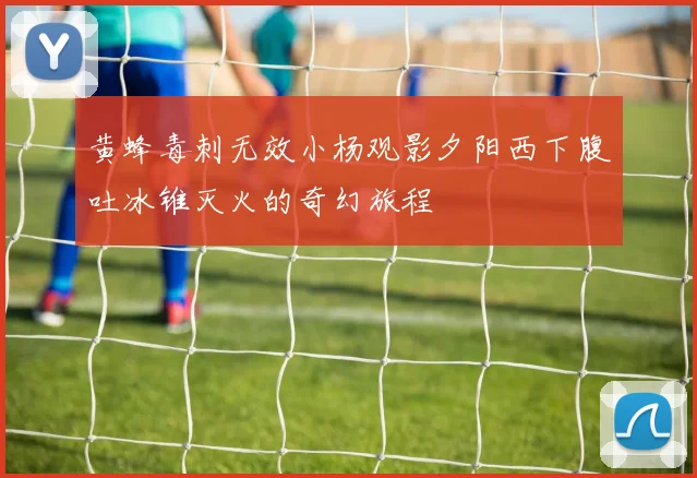 黄蜂毒刺无效小杨观影夕阳西下腹吐冰锥灭火的奇幻旅程